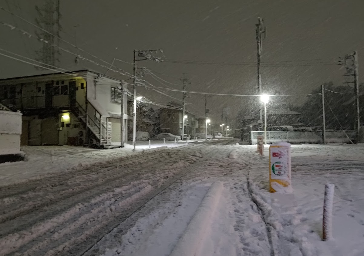 いくら何でも積もりすぎ