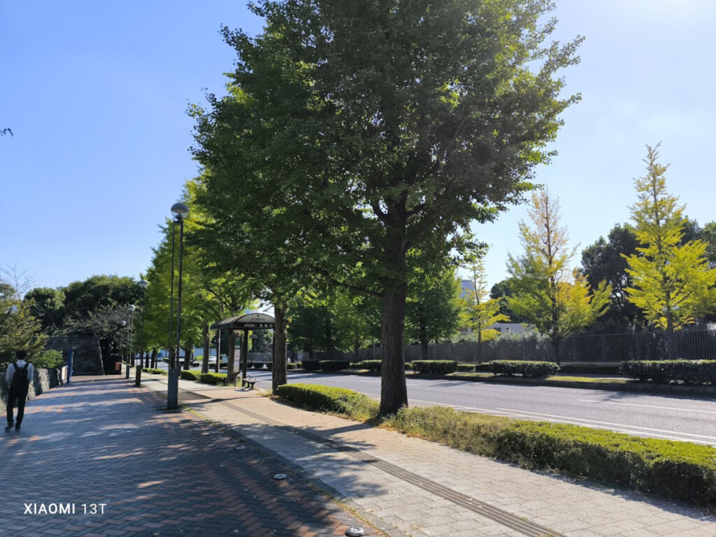 久々に国会図書館に行ったときに撮った写真