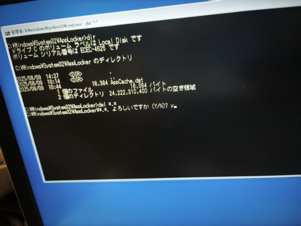 まぁただのWindows PEですから…