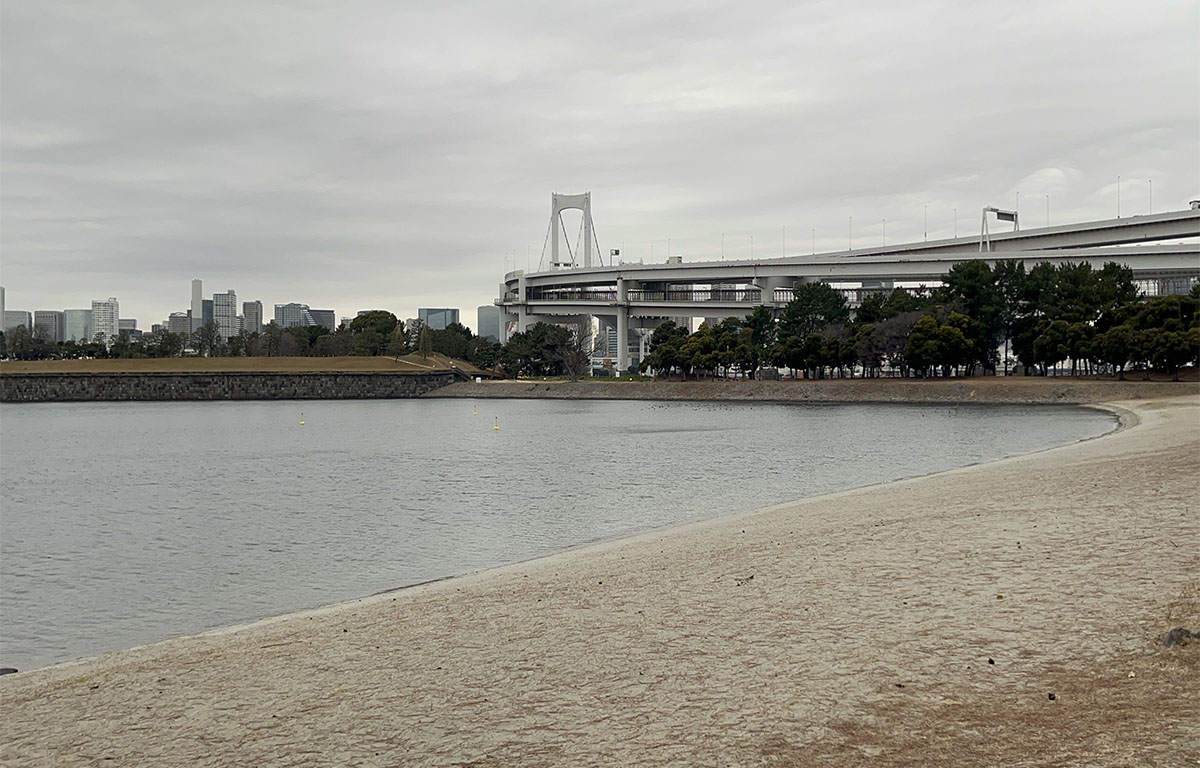 平日ということもありいつもより静かな印象を受けるお台場